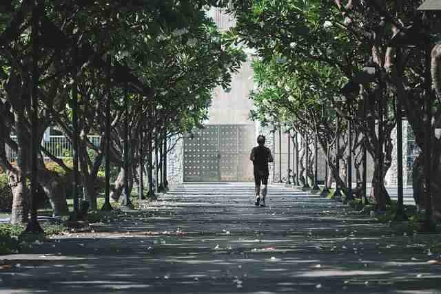 一文读懂鉴黄师经典回顾,生态布局高清图解